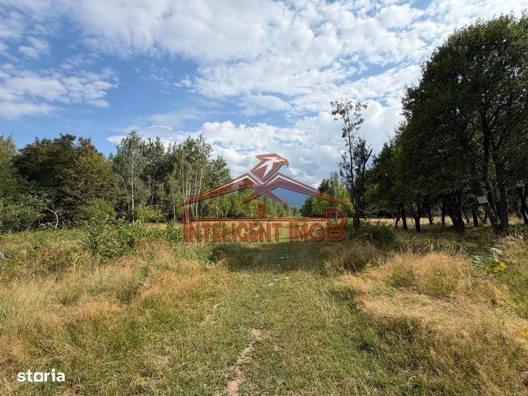 Teren extravilan in zona turistica Sambata de Sus/Dragus - 1