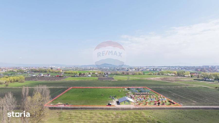 Teren intravilan 13.300 mp Bra?ov | 0% COMISION - 6