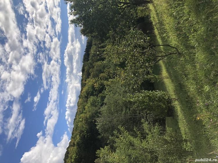 Teren de 9104 mp, în Brebu
