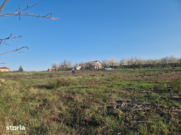 Teren de 3100 mp, în Paleu