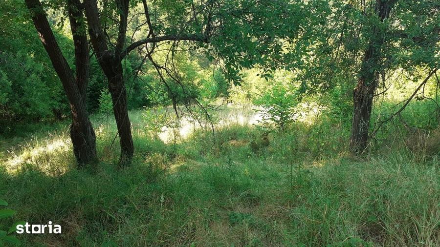 Teren de 700 mp, în Dobra