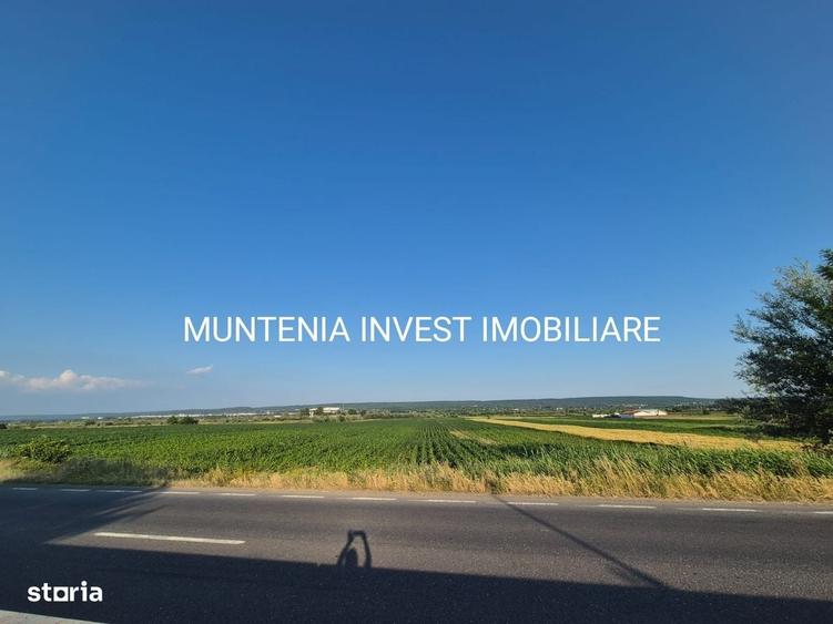 Spațiu comercial, în Purcăreni