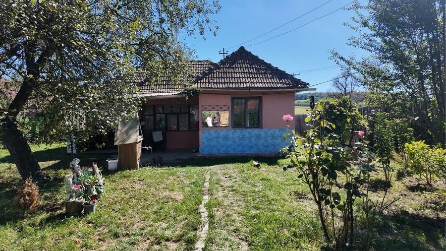 Casă cu 3 camere în Central