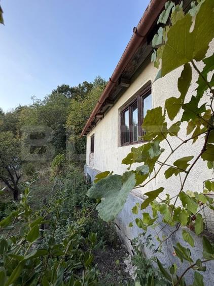 Casă individuală cu 4 camere cu Teren 3596 Mp în Hondol