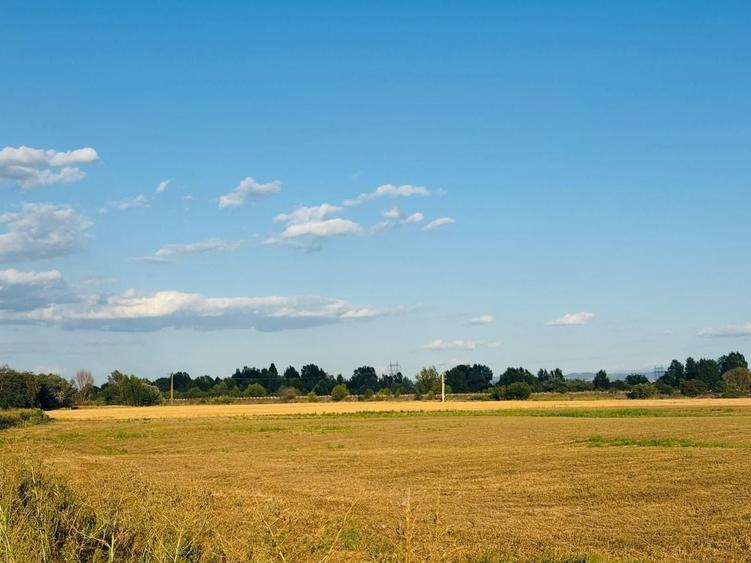 Teren agricol intravilan de 520 mp, în Fughiu