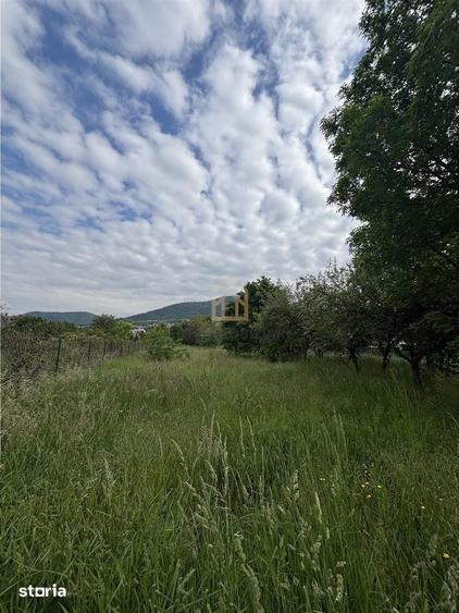 Teren de 3700 mp, în Valea Borcutului