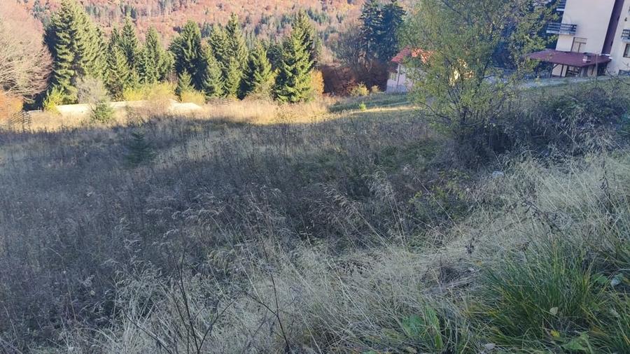 Teren în Central