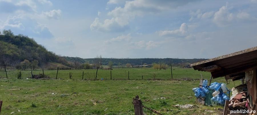 Teren de 3100 mp, în Axintele