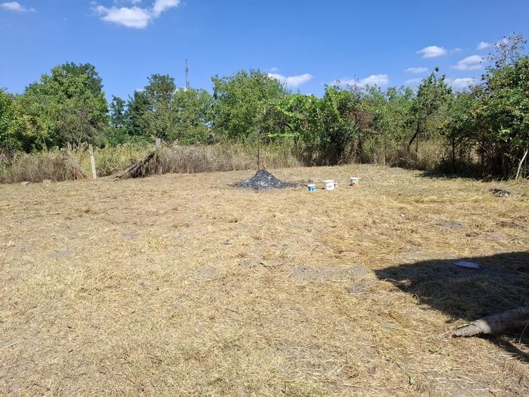 Casă cu 2 camere în Tileagd
