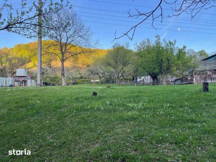 Teren de 1590 mp, în Firiza