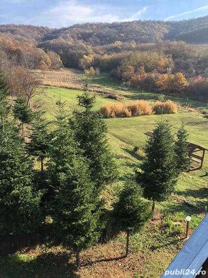 Casă cu 5 camere în Șiria