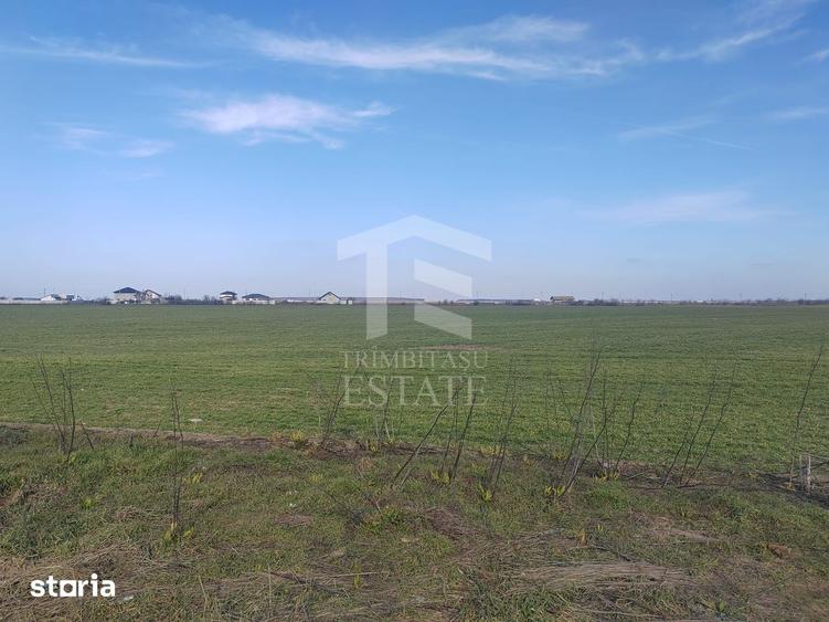 Teren de 8650 mp, în Cernica