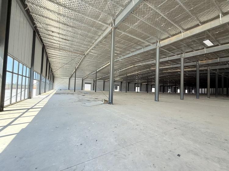 Spațiu industrial, de 16,000 mp, în Afumați