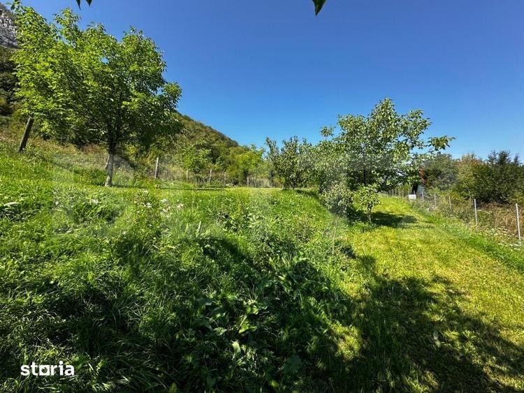 Teren de 1800 mp, în Sălciua