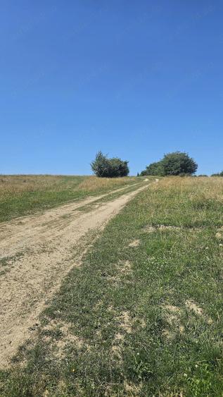 Teren de 2200 mp, în Tohănița