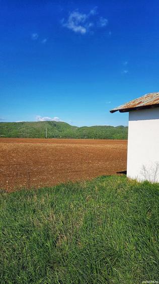 Teren de 2500 mp, în Bănești