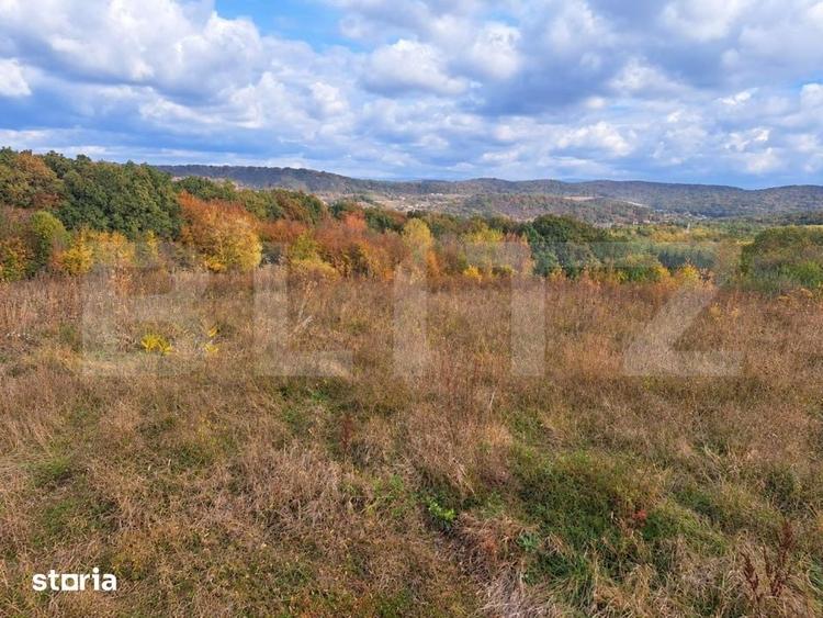 Teren de 5700 mp, în Acățari