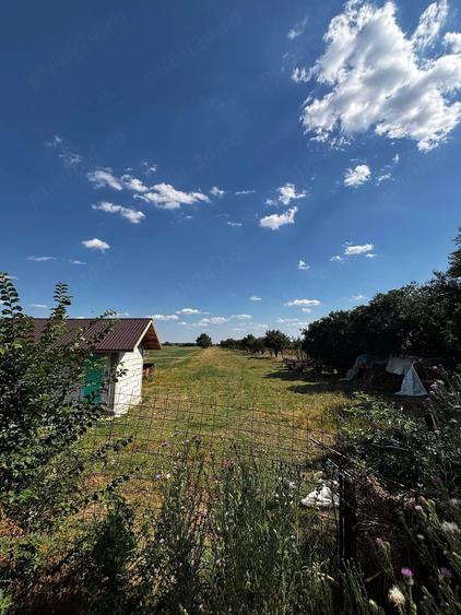 Teren de 3000 mp, în Butimanu