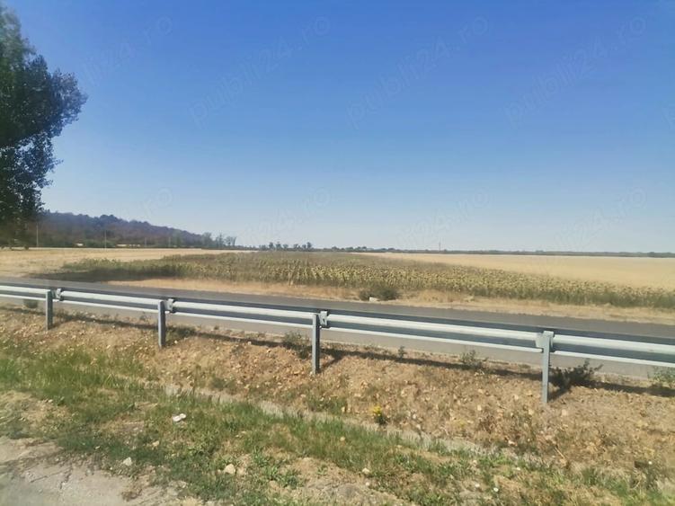 Teren de 22500 mp, în Central