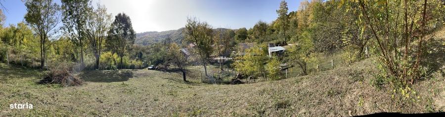 Spațiu comercial, în Provița de Jos