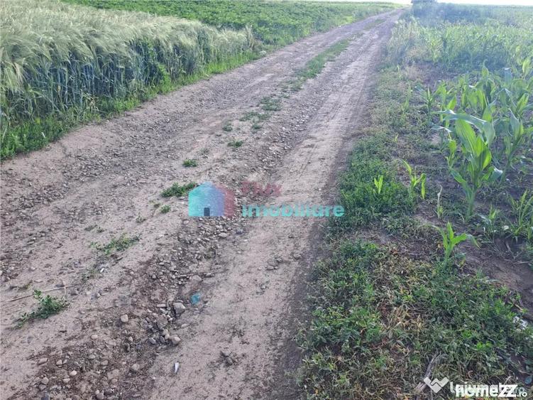 Teren de 4500 mp, în Reuseni