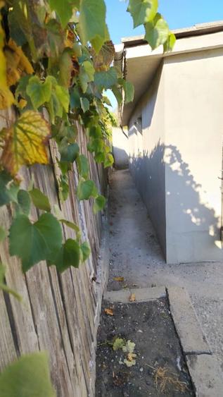 Casă cu 3 camere cu Teren 150 Mp în Central