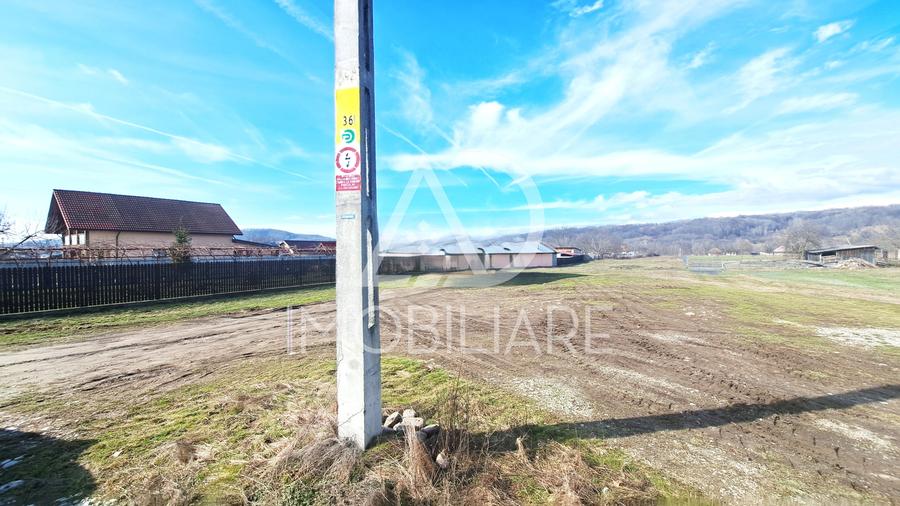 Teren Construcții intravilan de 3725 mp, în Bumbești-Pițic