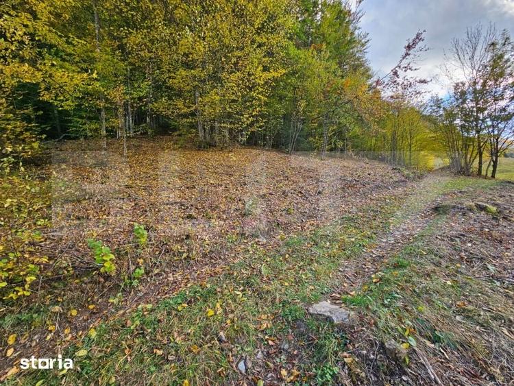 Teren de 2710 mp, în Vidra