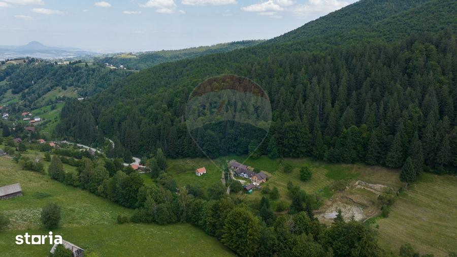 Teren 2.891 mp ?imon Bran | Pozi?ie rara, poten?ial turistic - 10