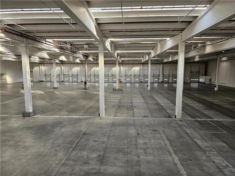 Spatiu Industrial - 5000 mp - Logistica - Depozitare - Distributie - 19