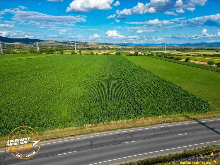 Teren de 30200 mp, în Valea Crișului