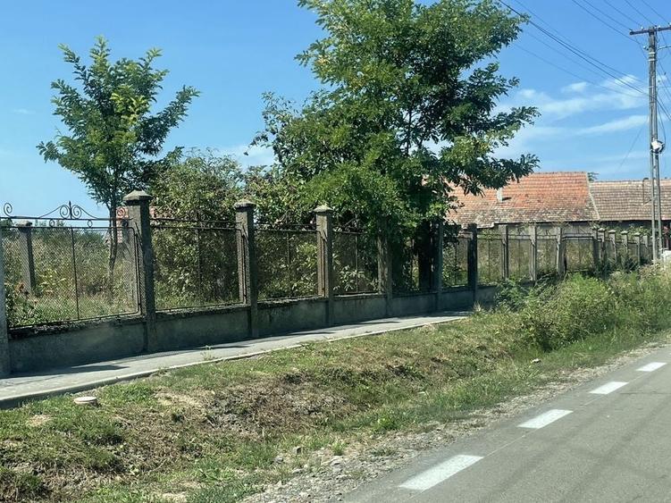 Teren de 7900 mp, în Dorolț