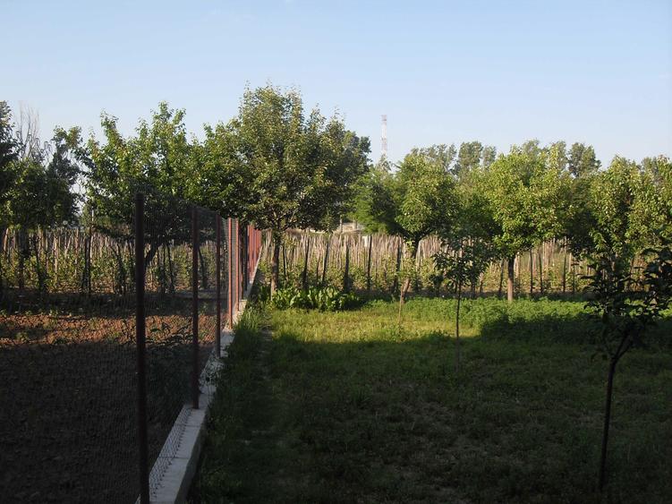 Casă cu 4 camere în Șimian