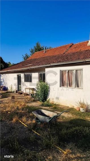 RECO Casa cu teren 3.066 m2 de vanzare in Livada de Bihor - 3