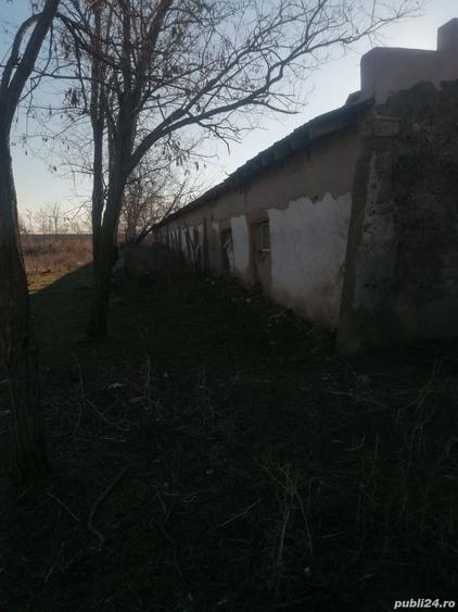 Teren de 1335 mp, în Grădiștea