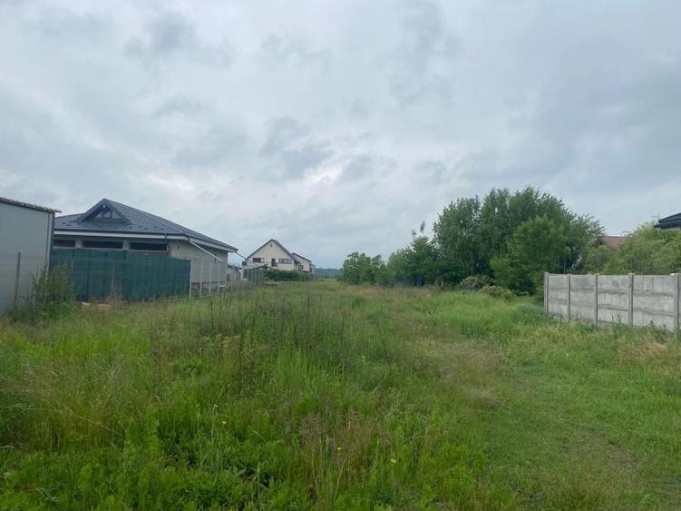 Teren Construcții intravilan de 1800 mp, în Brănești