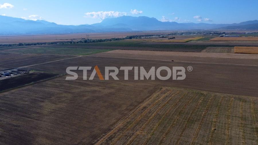 Teren agricol extravilan de 19739 mp, în Exterior Sud