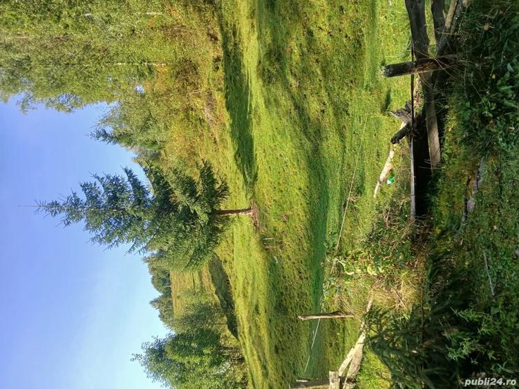 Teren în Măguri