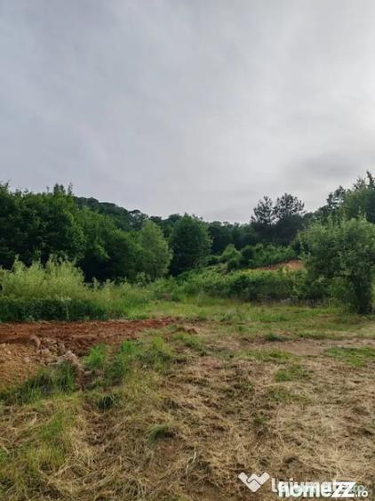 Teren intravilan, 900 mp, panorama, zona Bai?a - Tau?ii - 1