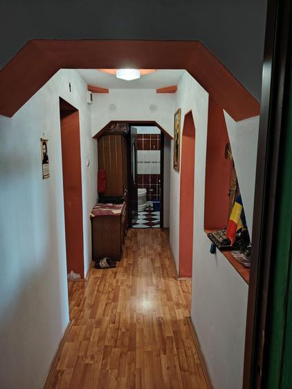 Apartament cu 2 camere decomandat în Remetea Mare