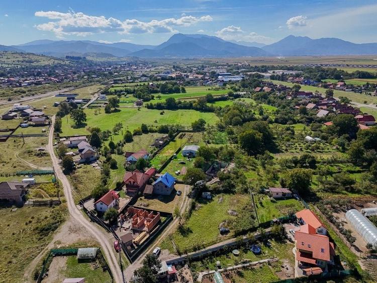Teren Construcții intravilan de 1430 mp, în Cărpiniș