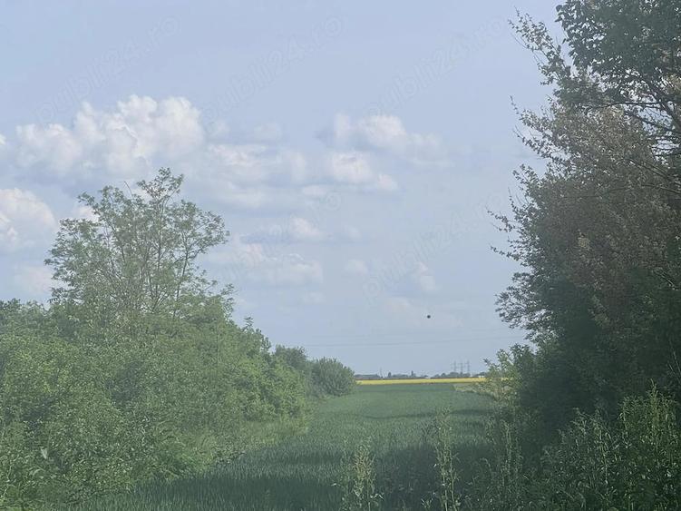 Teren de 5600 mp, în Cojasca