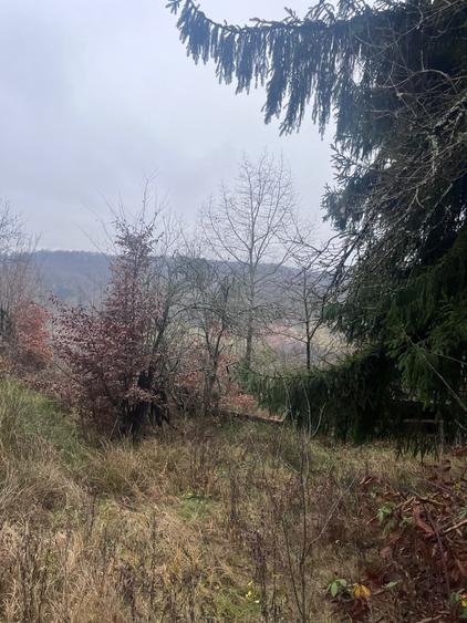 Teren de 20000 mp, în Brusturi