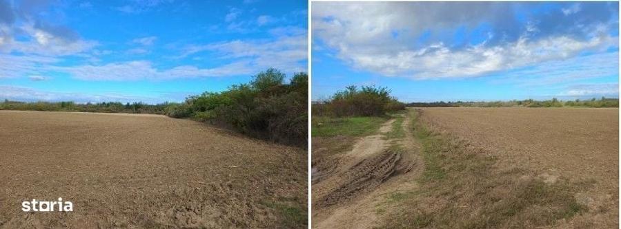 Teren de 22900 mp, în Poienarii Burchii