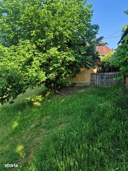Teren de 6041 mp, în Cicănești
