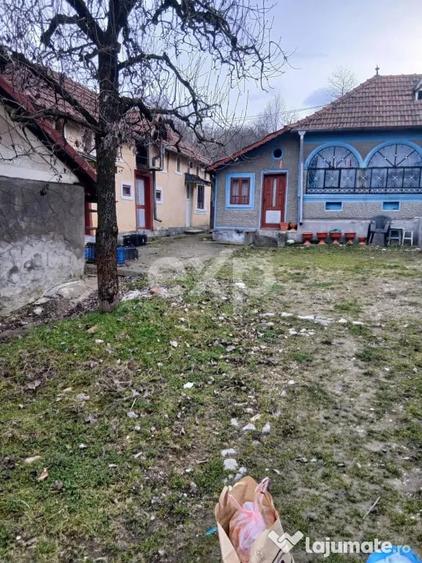 Teren de vanzare Dragodane?ti , 1.600 mp - 1