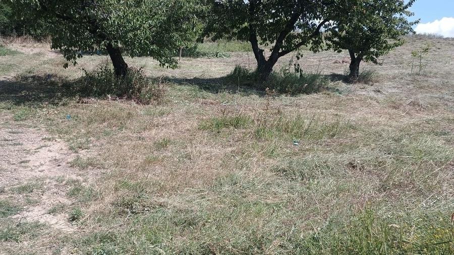 Teren de 3000 mp, în Chicerea