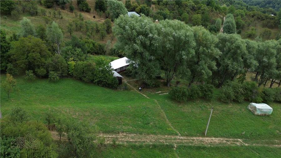 Casă cu 3 camere cu Teren 5913 Mp în Paltin