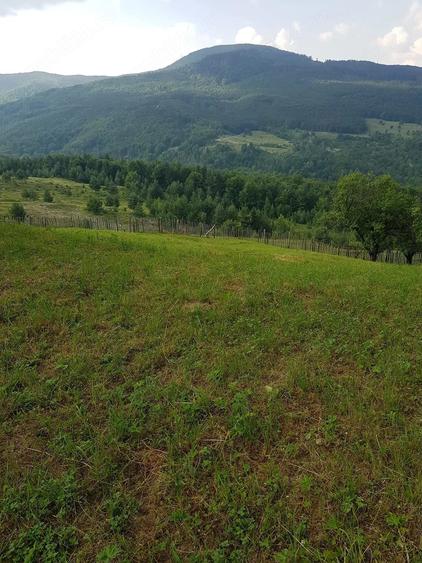 Teren de 2800 mp, în Talea