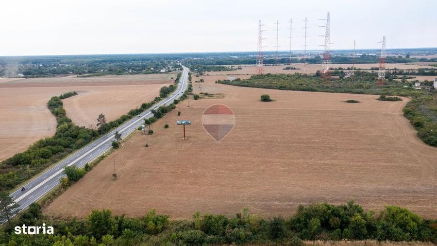 Teren intravilan 10.000mp Ciolpani, acces direct din DN1 - 2